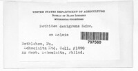 Image Associated With the Occurence